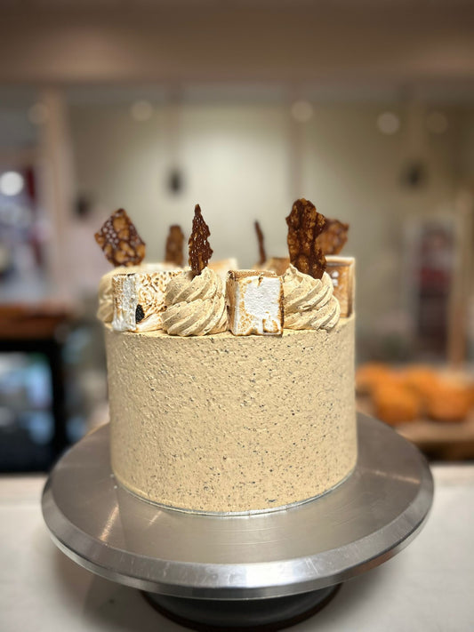 Chocolate S'more Cake