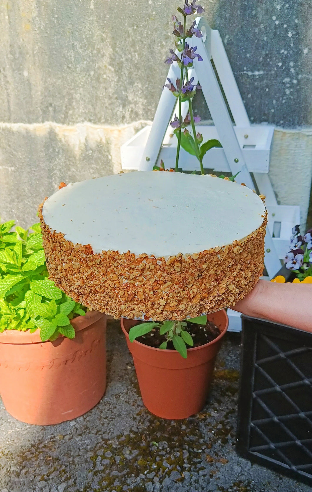 Carrot Orange & Walnut Cake - 10 inch 2 Layers